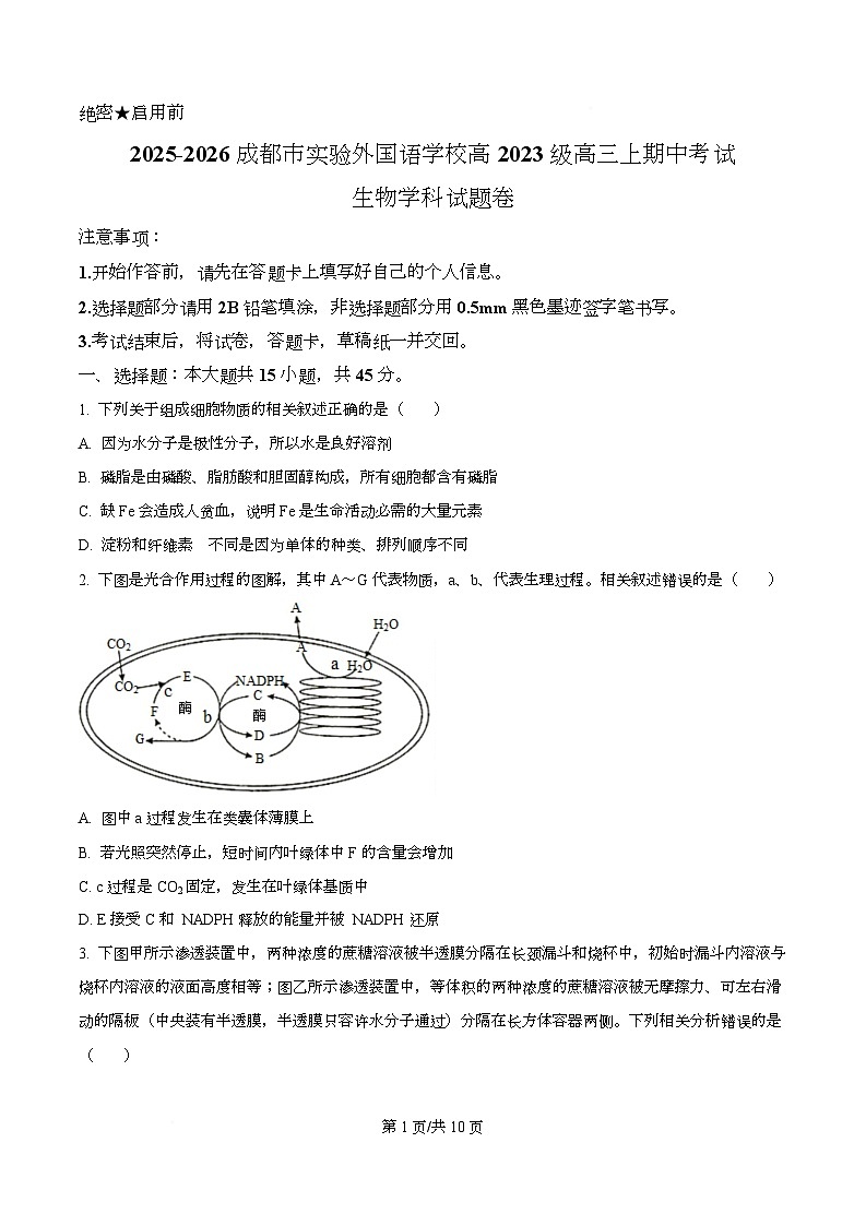 四川省成都市实验外国语学校2026届高三上学期期中考试生物试题（原卷版）第1页