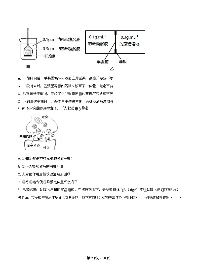 四川省成都市实验外国语学校2026届高三上学期期中考试生物试题（原卷版）第2页