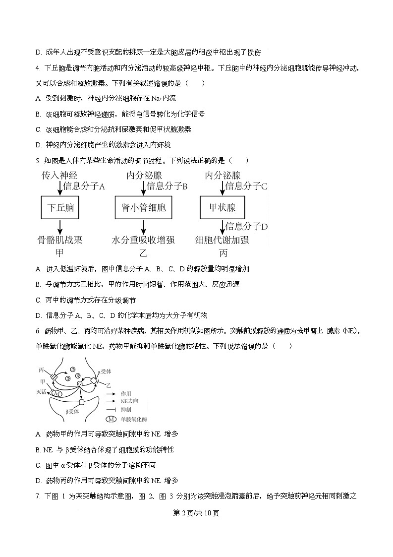 四川省成都外国语学校2025-2026学年高二上学期期中测试生物试题（原卷版）第2页