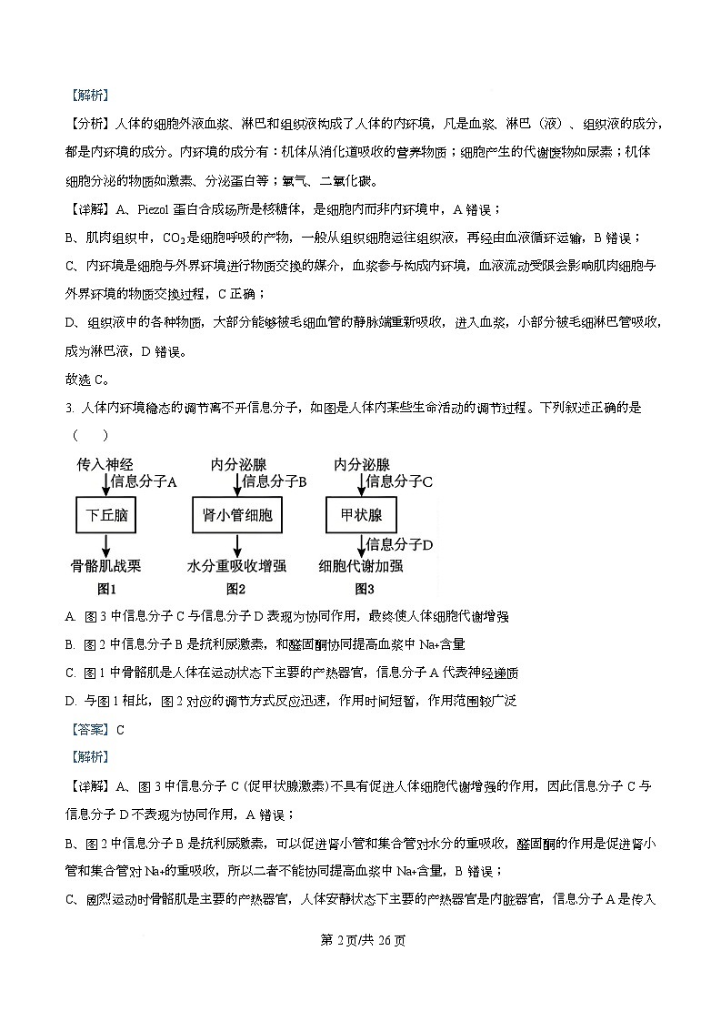 四川省绵阳中学2025-2026学年高二上学期第二次测试生物试题 Word版含解析第2页