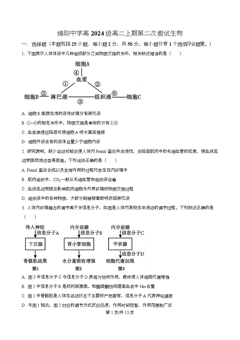 四川省绵阳中学2025-2026学年高二上学期第二次测试生物试题（原卷版）第1页
