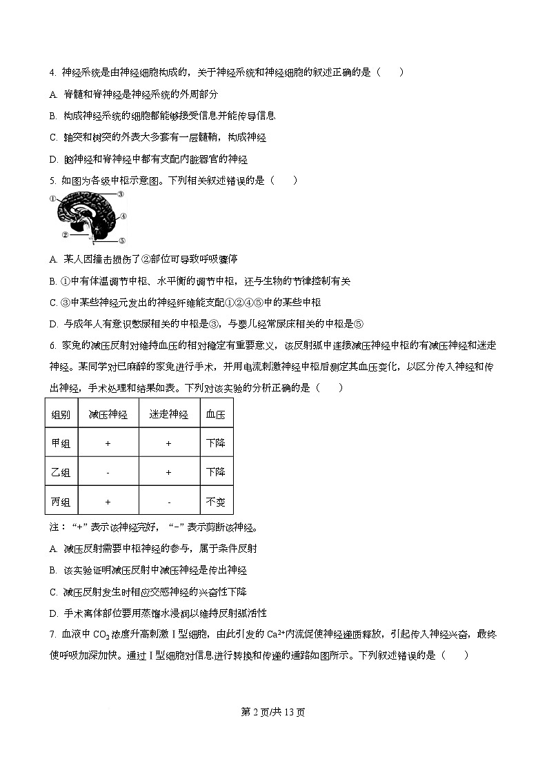 四川省绵阳中学2025-2026学年高二上学期第二次测试生物试题（原卷版）第2页