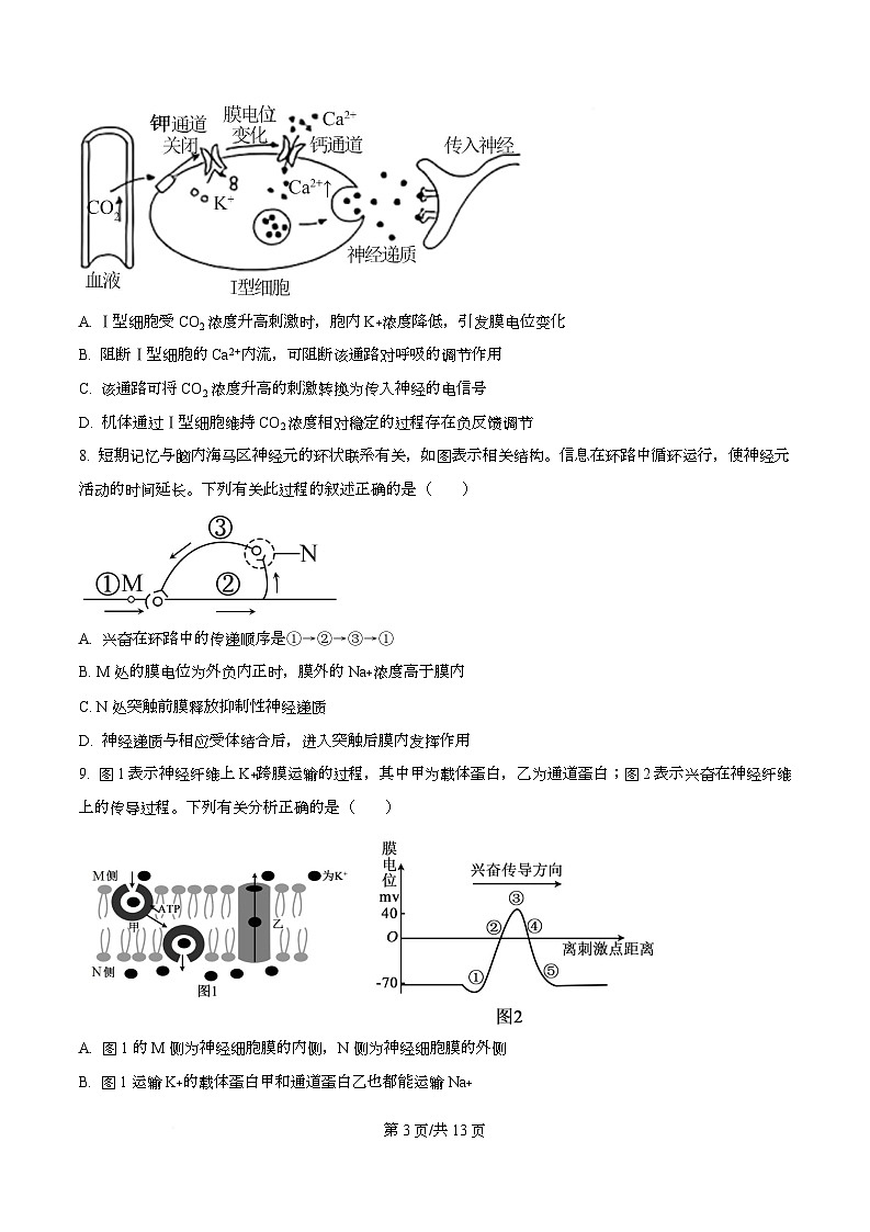 四川省绵阳中学2025-2026学年高二上学期第二次测试生物试题（原卷版）第3页