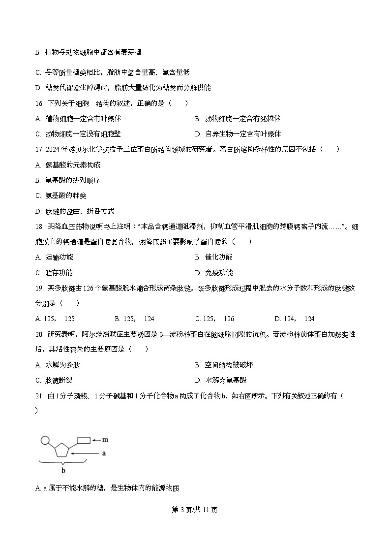 四川省南充高级中学2025-2026学年高一上学期11月期中生物试题（原卷版）第3页