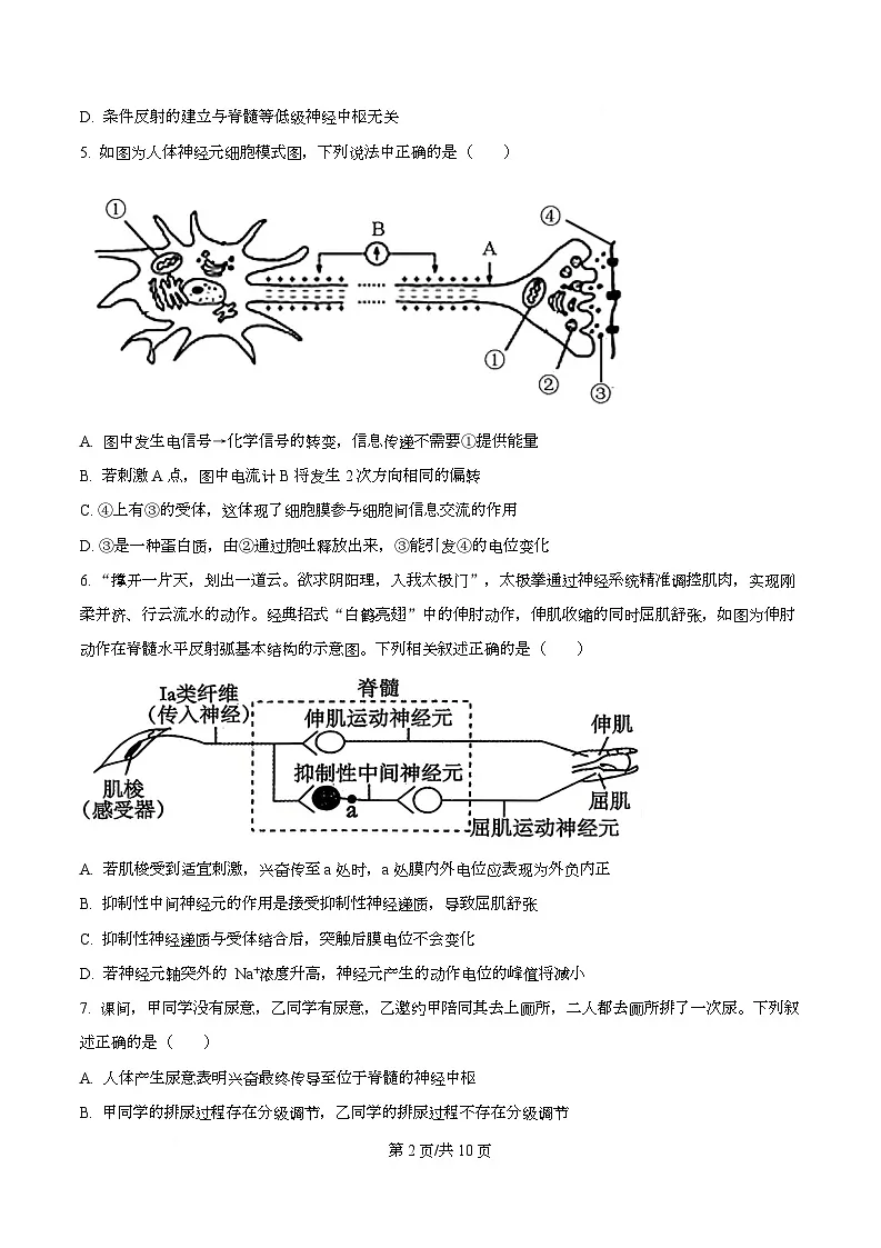四川省南充市阆中中学2025-2026学年高二上学期11月期中生物试题（原卷版）第2页
