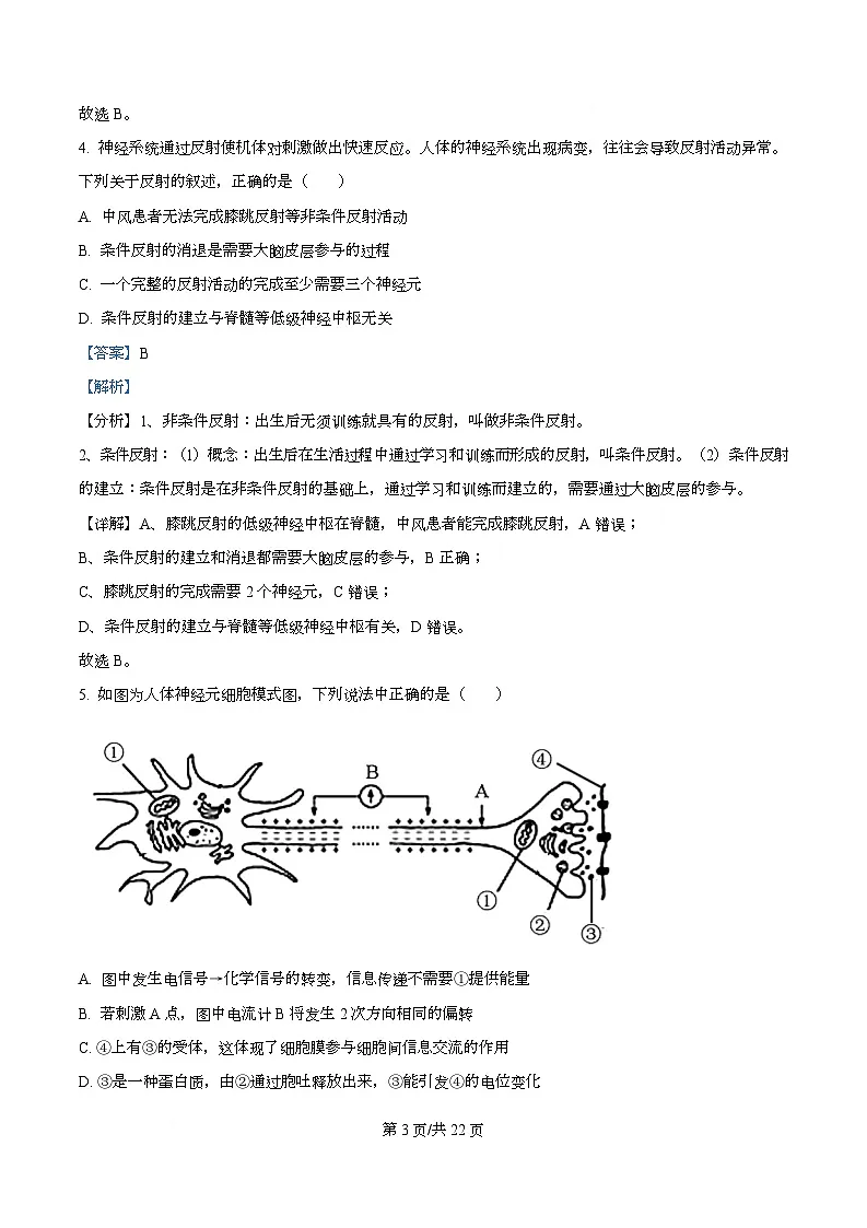 四川省南充市阆中中学2025-2026学年高二上学期11月期中生物试题 Word版含解析第3页