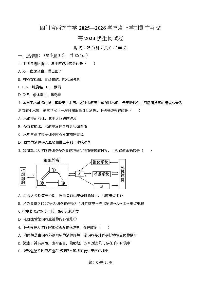 四川省南充市西充中学2025-2026学年高二上学期期中考试生物试题（原卷版）第1页