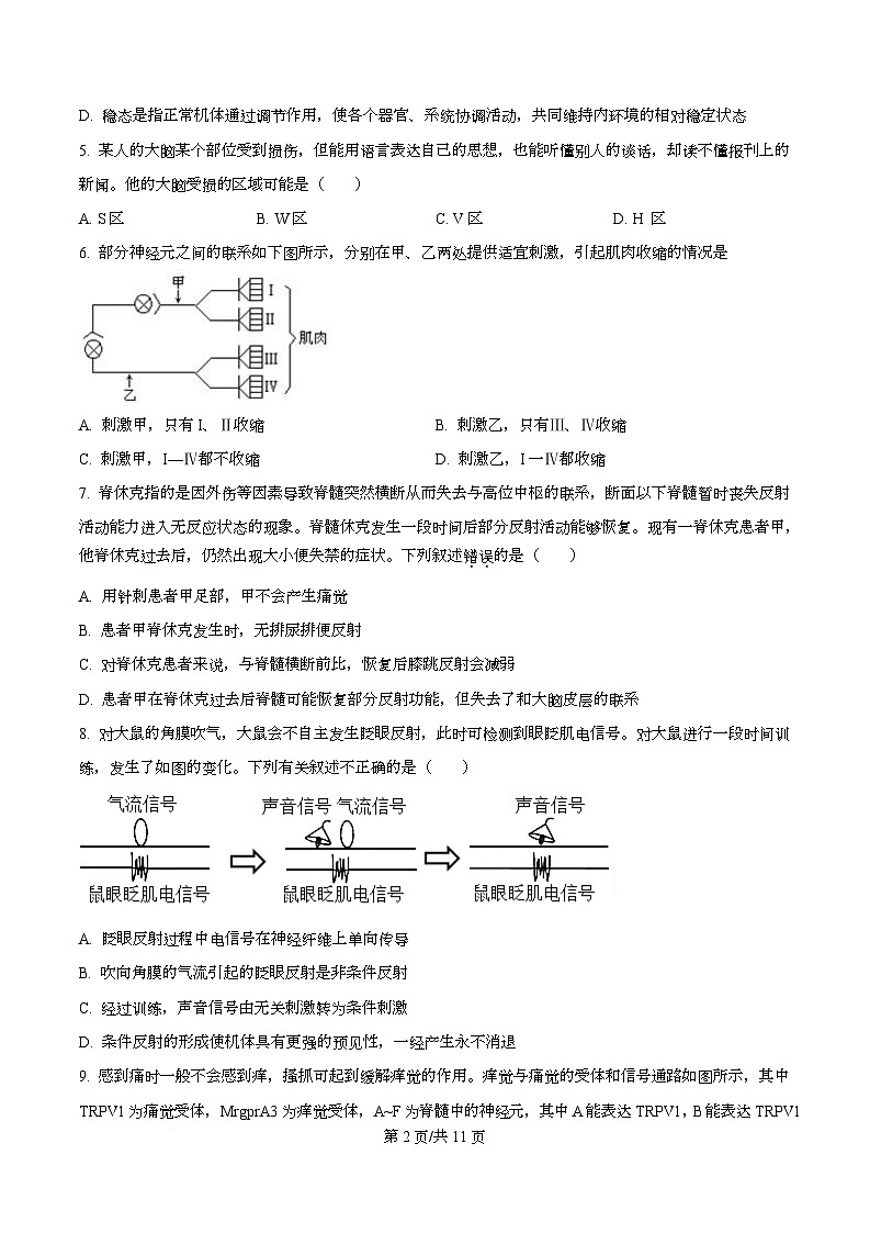 四川省南充市西充中学2025-2026学年高二上学期期中考试生物试题（原卷版）第2页