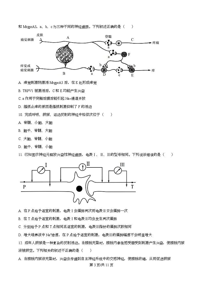 四川省南充市西充中学2025-2026学年高二上学期期中考试生物试题（原卷版）第3页