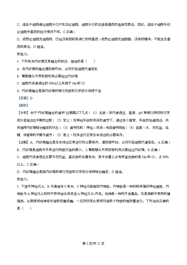 四川省绵阳南山中学2024—2025学年高三下学期第三次模拟考试生物试题 Word版含解析第3页