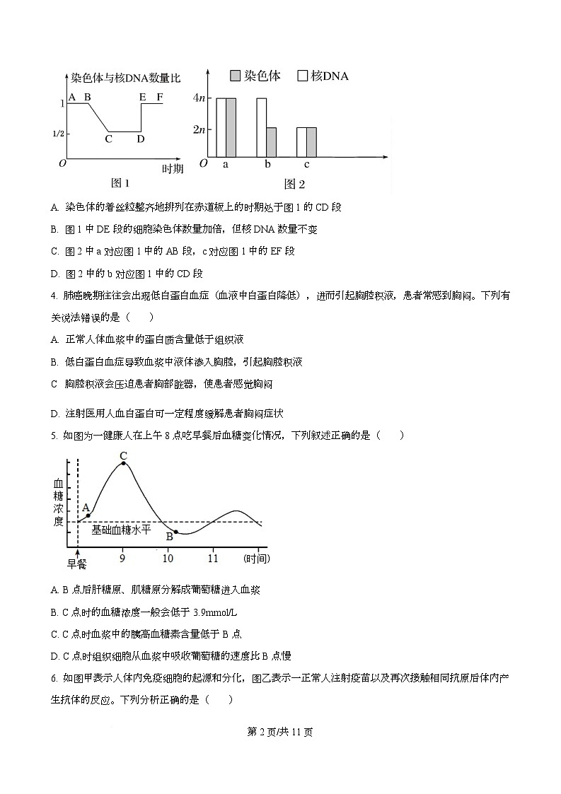 2025届四川省绵阳南山中学高三模拟考试（二）生物试卷（原卷版）第2页