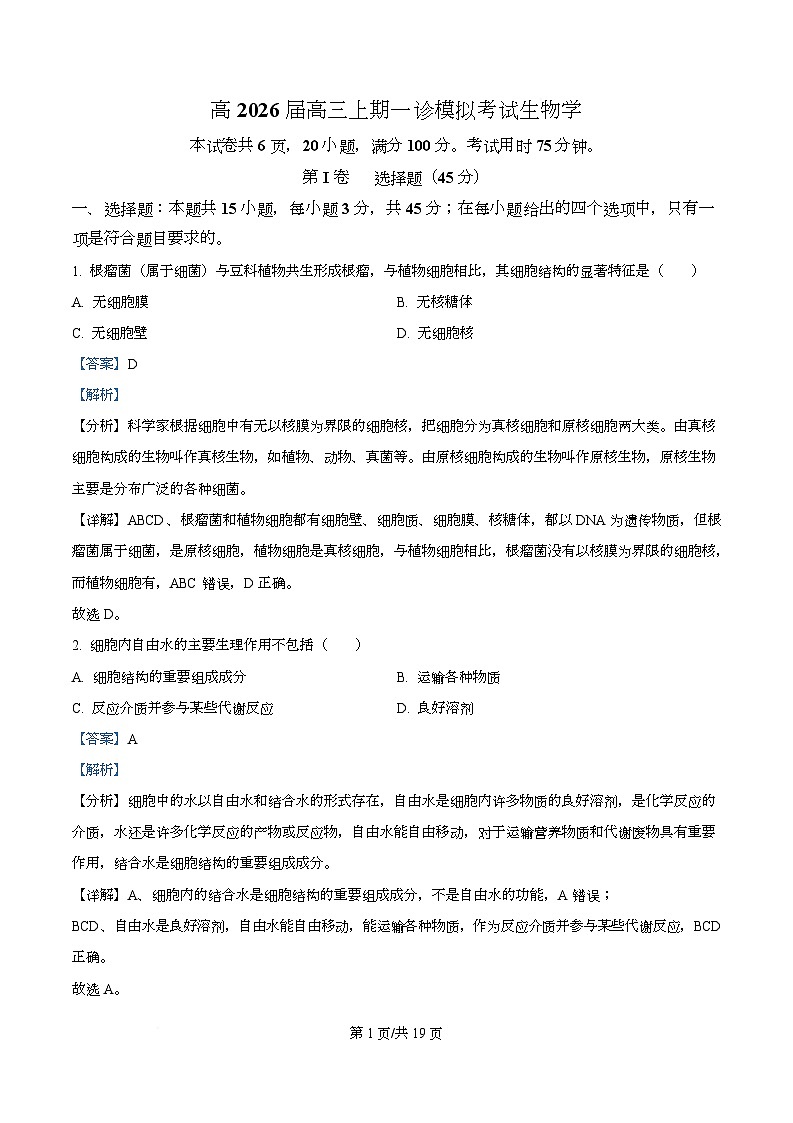2026届四川省叙永第一中学校高三上学期一模生物试题 Word版含解析第1页
