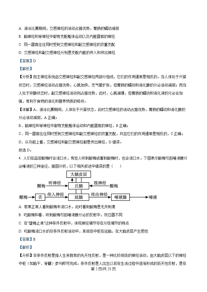 四川省荣县中学2025-2026学年高二上学期11月期中生物试题 Word版含解析第2页