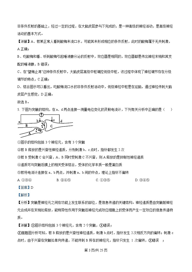 四川省荣县中学2025-2026学年高二上学期11月期中生物试题 Word版含解析第3页