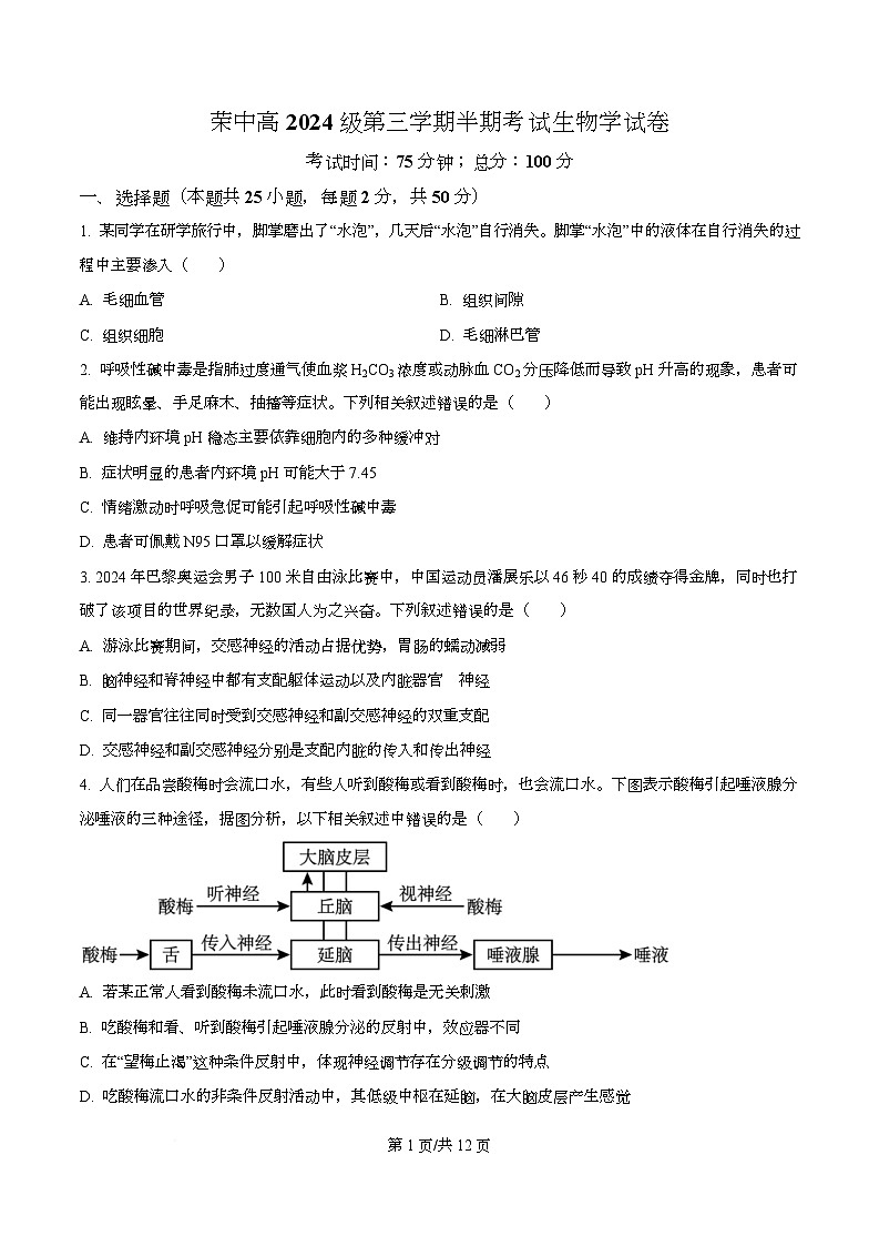 四川省荣县中学2025-2026学年高二上学期11月期中生物试题（原卷版）第1页
