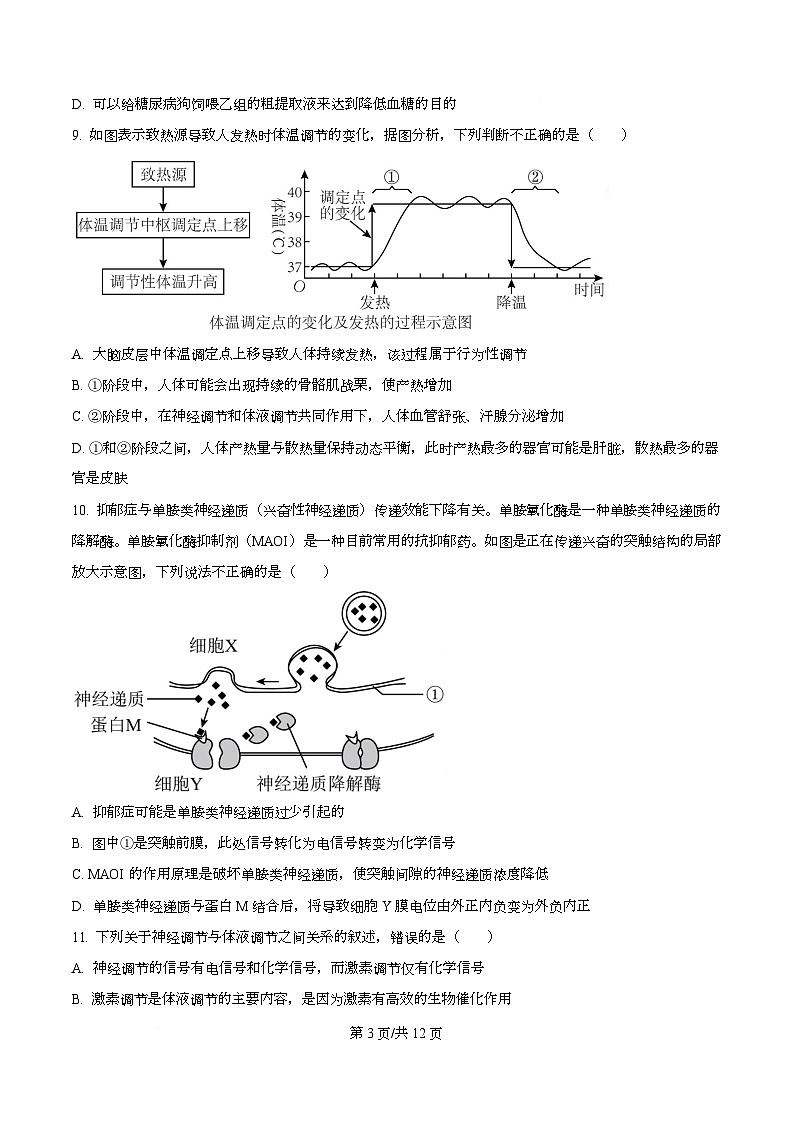 四川省荣县中学2025-2026学年高二上学期11月期中生物试题（原卷版）第3页