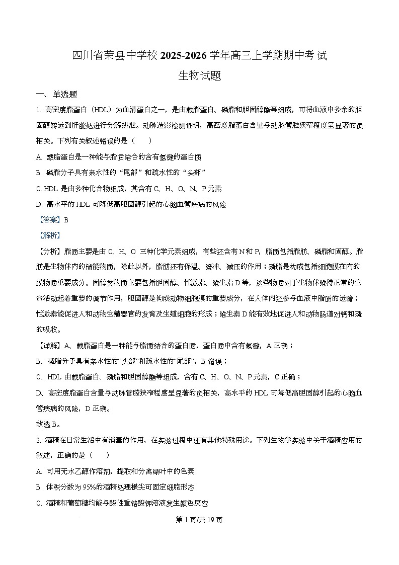 四川省荣县中学2026届高三上学期11月期中生物试题 Word版含解析第1页