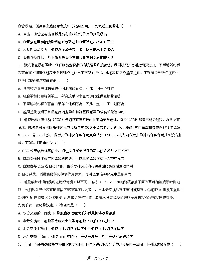 四川省荣县中学2026届高三上学期11月期中生物试题（原卷版）第3页