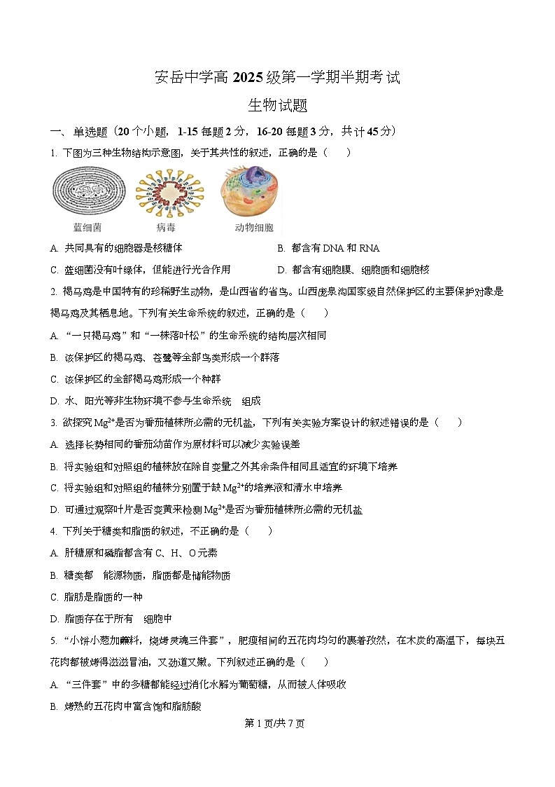 四川省资阳市安岳中学2025-2026学年高一上学期期中考试生物试题（原卷版）第1页