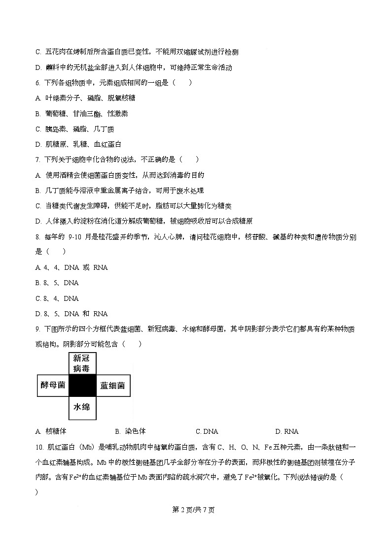 四川省资阳市安岳中学2025-2026学年高一上学期期中考试生物试题（原卷版）第2页