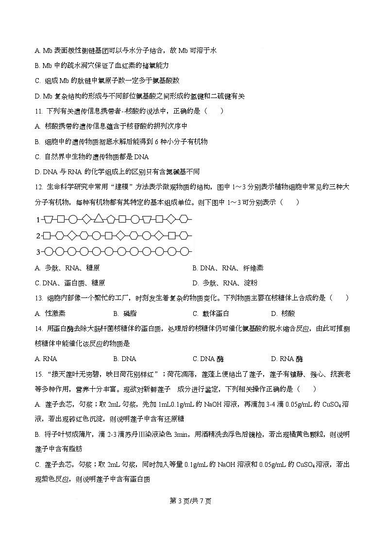 四川省资阳市安岳中学2025-2026学年高一上学期期中考试生物试题（原卷版）第3页