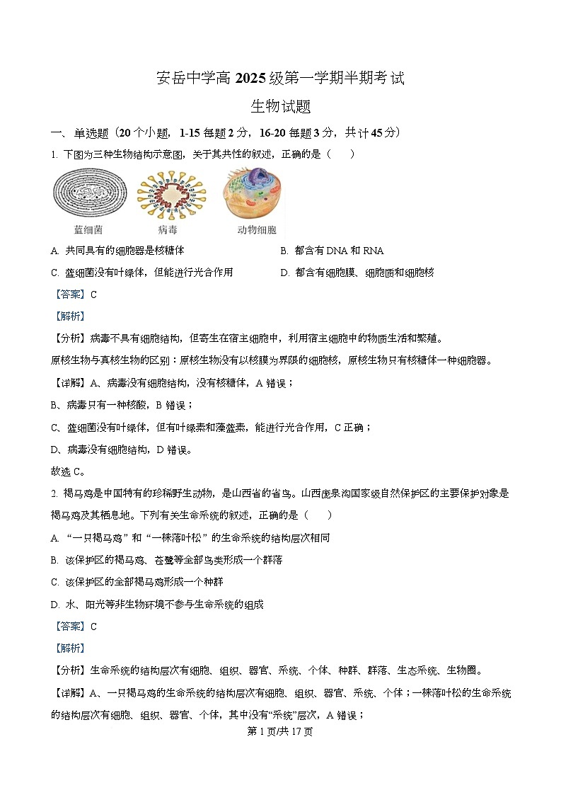 四川省资阳市安岳中学2025-2026学年高一上学期期中考试生物试题 Word版含解析第1页