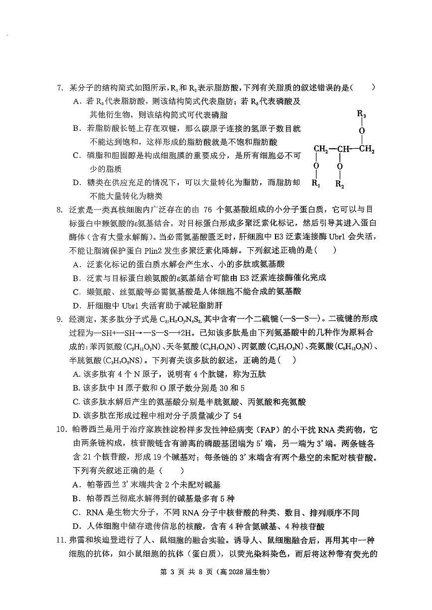 重庆市名校联盟2025-2026学年高一上学期期中考试生物试题（PDF版附答案）第3页