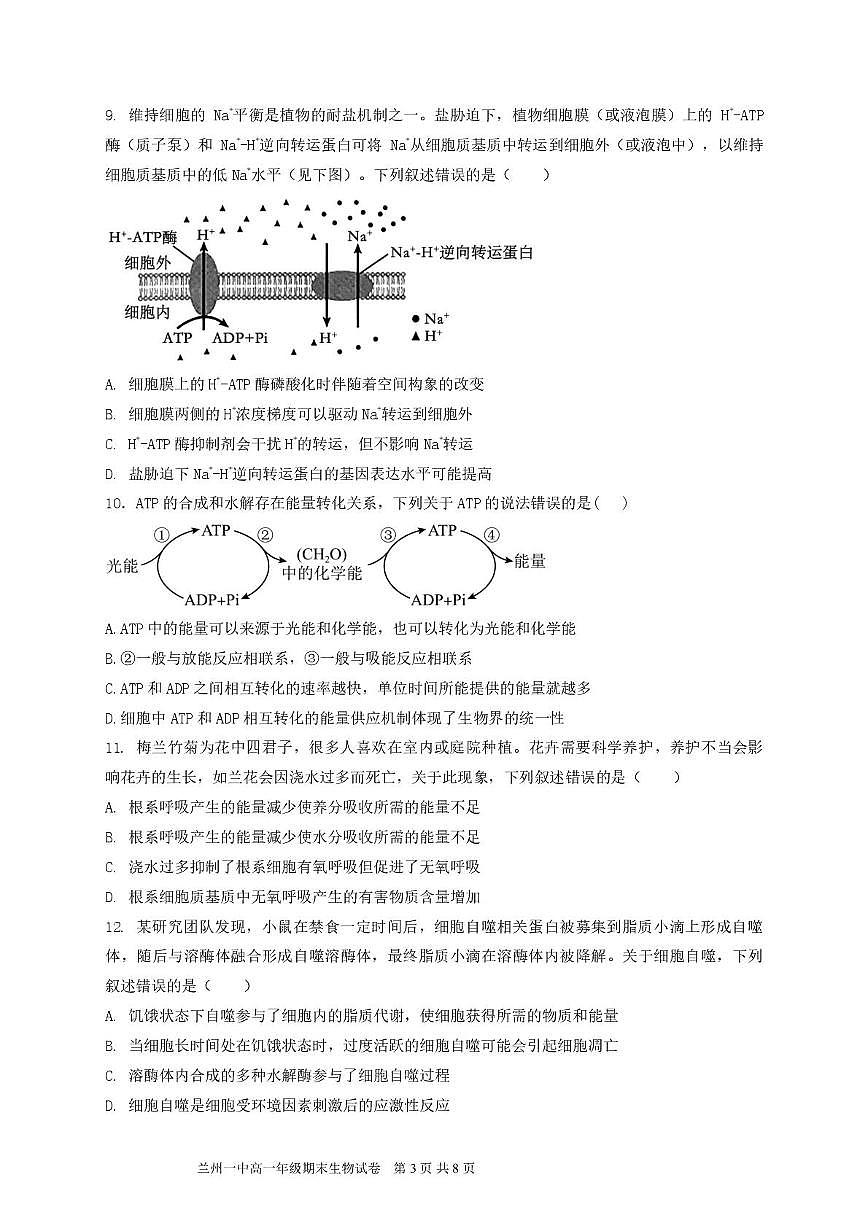 甘肃省兰州第一中学2024-2025学年高一上学期1月期末考试生物试卷（图片版）第3页