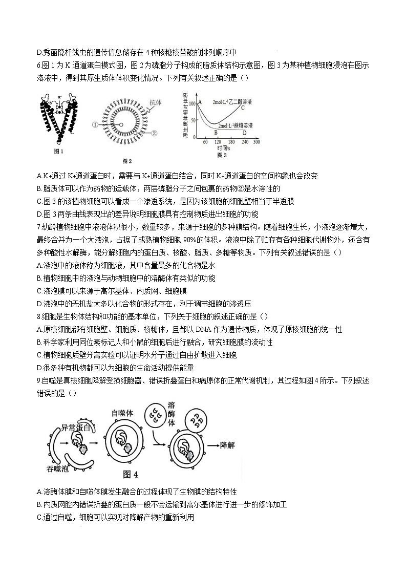 广东省湛江市2024-2025学年高一上学期期末调研考试生物试卷第2页
