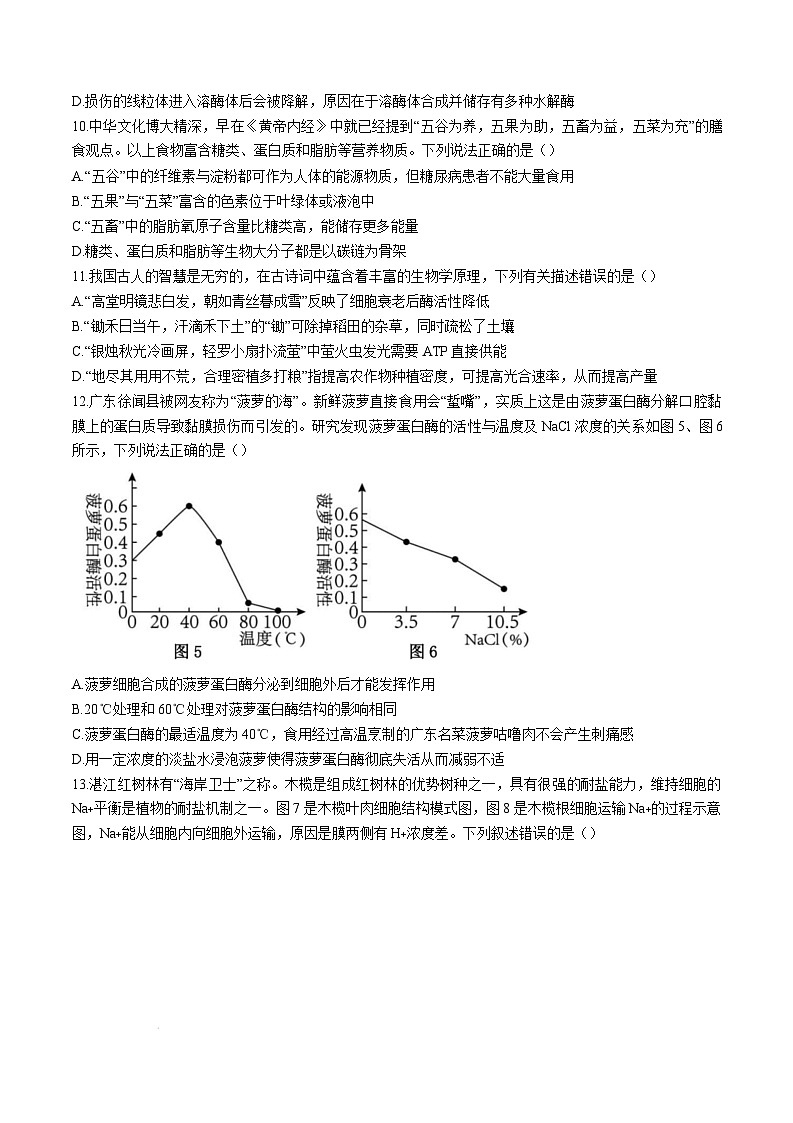 广东省湛江市2024-2025学年高一上学期期末调研考试生物试卷第3页