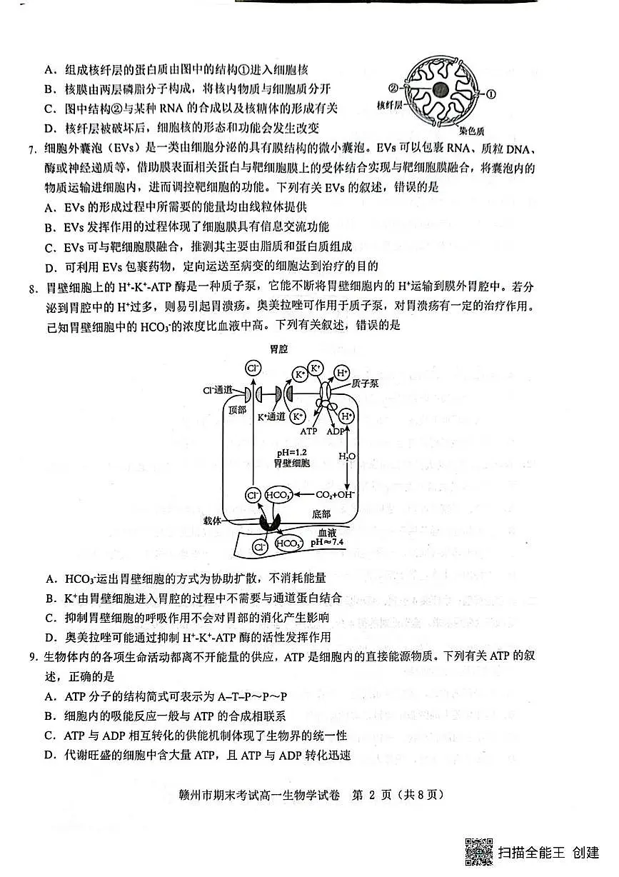 高一生物 高一生物第2页