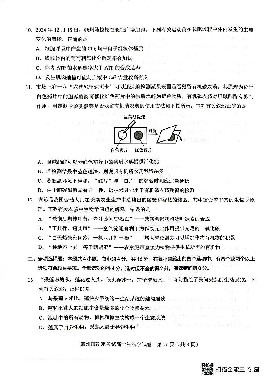 高一生物 高一生物第3页