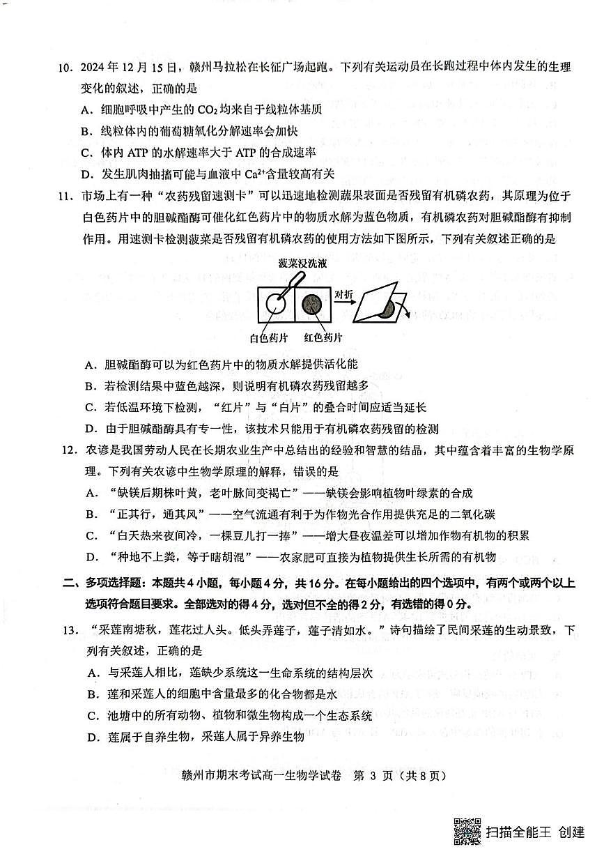 高一生物 高一生物第3页