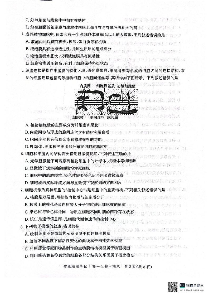 河北省邯郸市涉县第一中学2024-2025学年高一上学期期末考试生物试题第2页