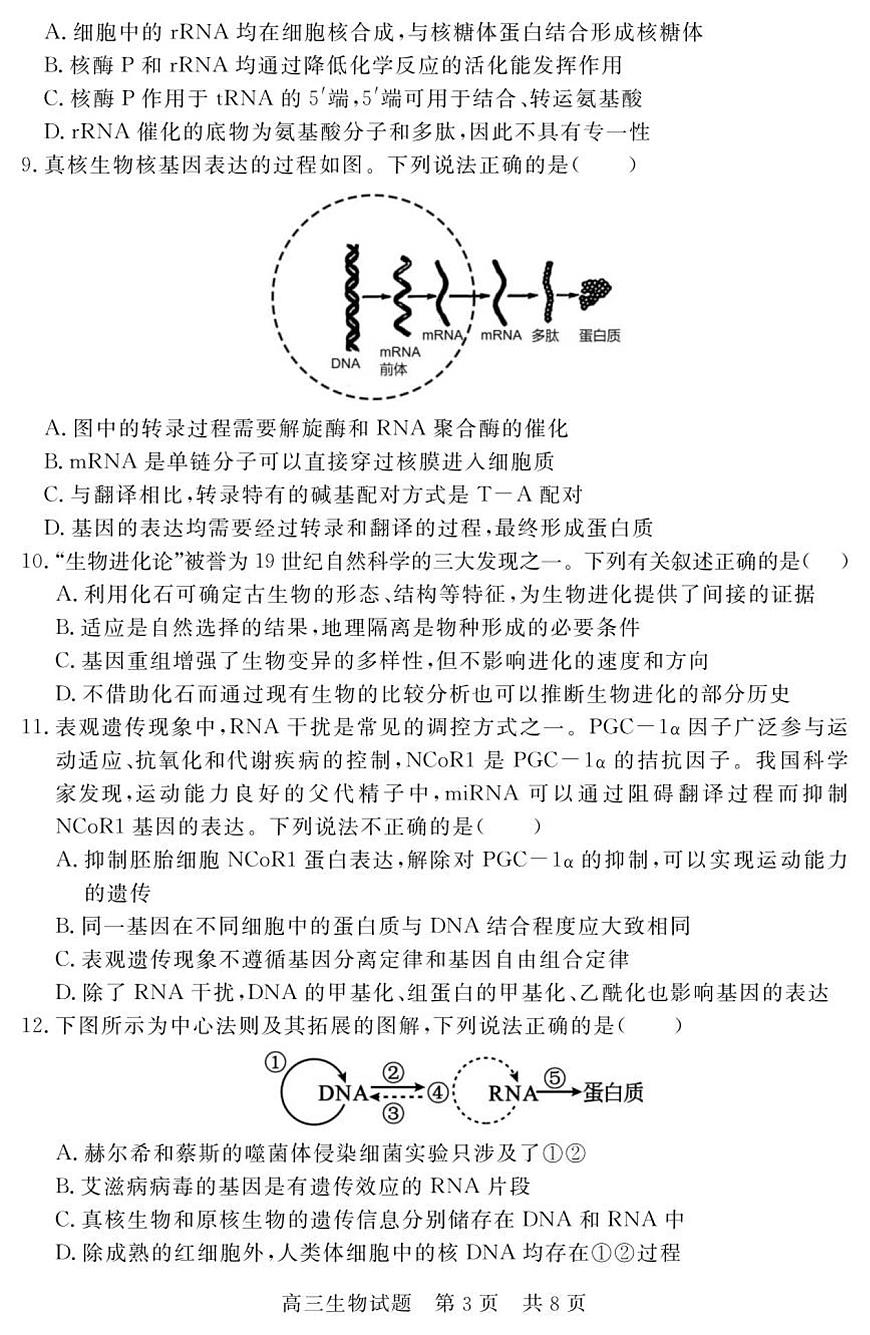（教研室提供）山东省济宁市兖州区2025-2026学年高三上学期期中生物试题第3页