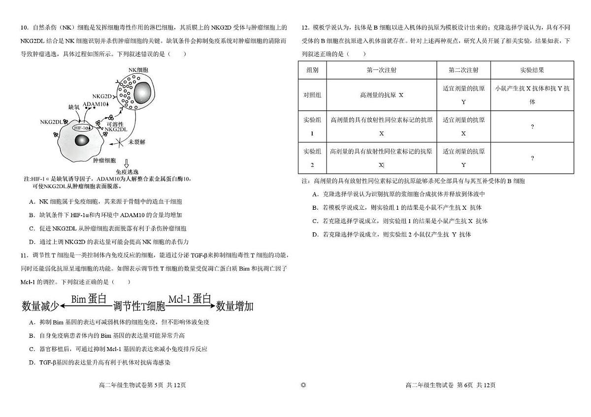 江西省临川第一中学2025-2026学年高二上学期期中考试生物试题第3页