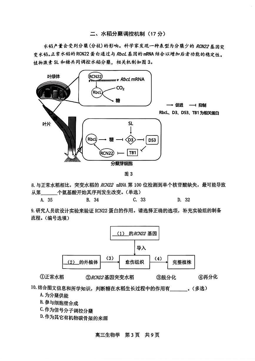 上海市松江区2025-2026学年高三上学期12月期末质量监控生物试题第3页