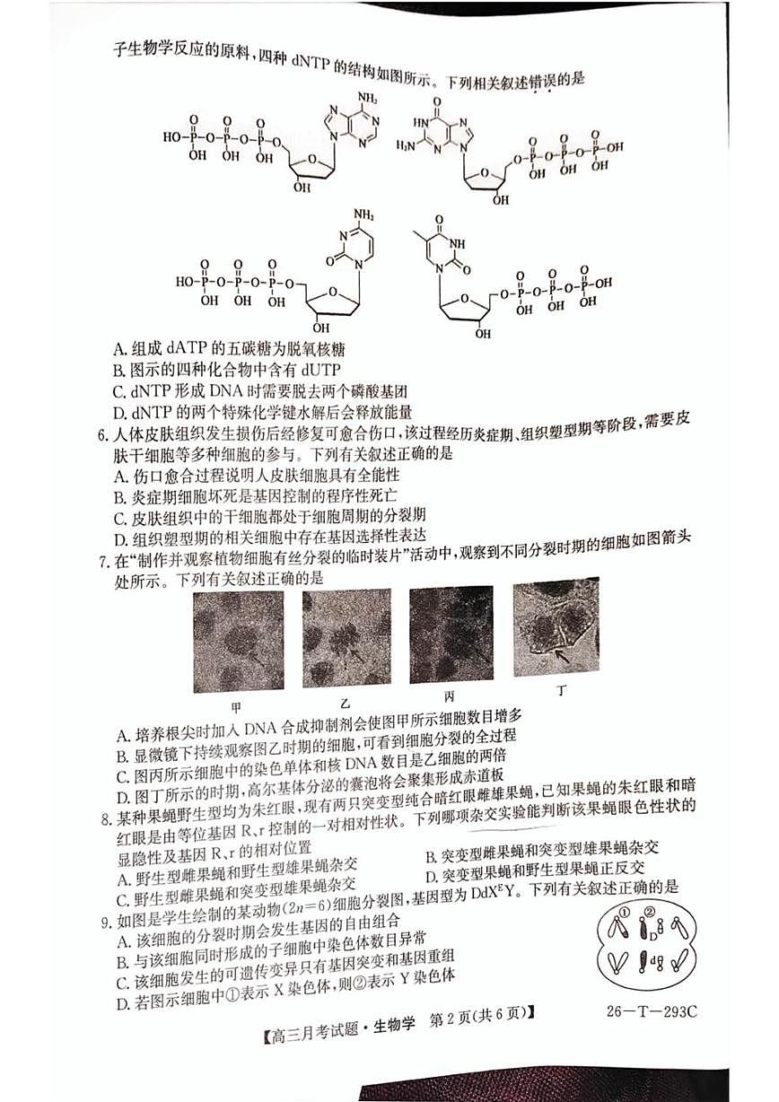 吉林省四平市实验中学2025-2026学年高三上学期第三次月考生物试卷第2页