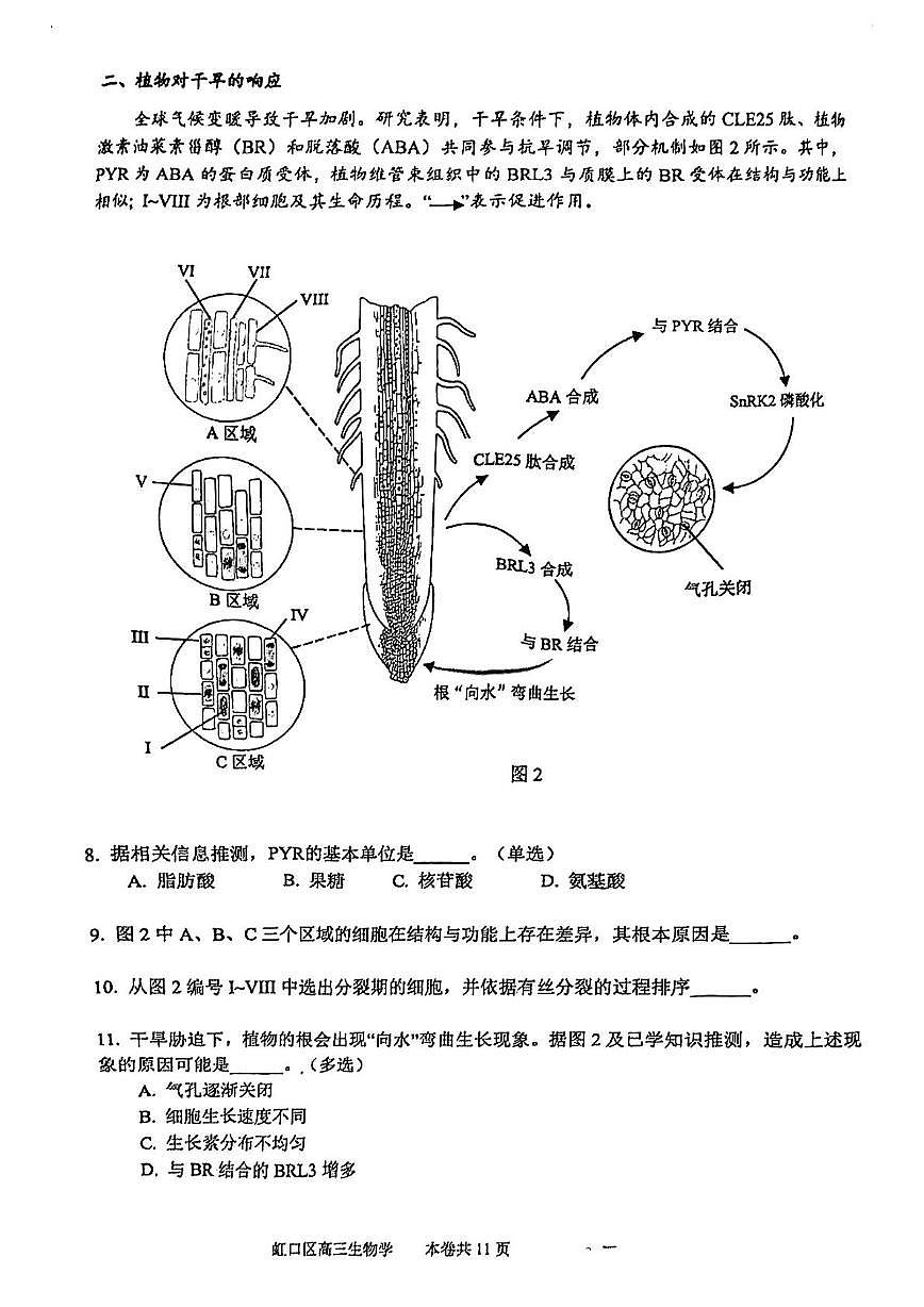 上海市虹口区2025—2026学年高三上学期学习能力诊断测试生物试题（月考）第3页