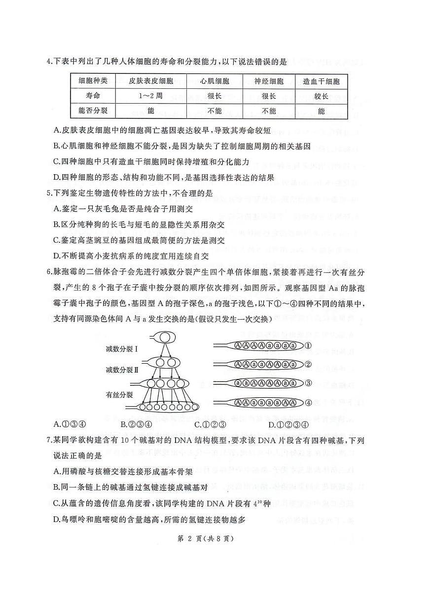 河北省邢台市卓越联盟2025-2026学年高三上学期12月联考生物试卷（月考）第2页