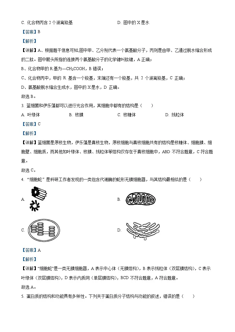浙江省丽水发展共同体2025-2026学年高一上学期11月期中生物试卷（含答案）第2页