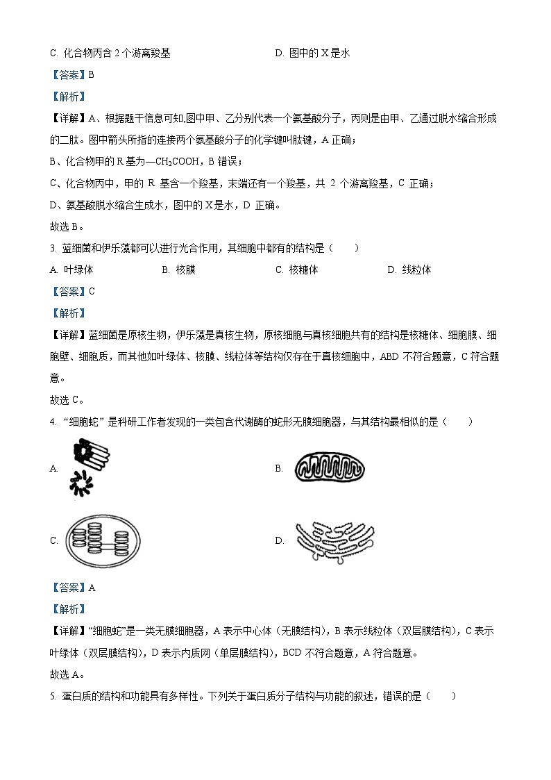 浙江省丽水发展共同体2025-2026学年高一上学期11月期中生物试卷（含答案）第2页