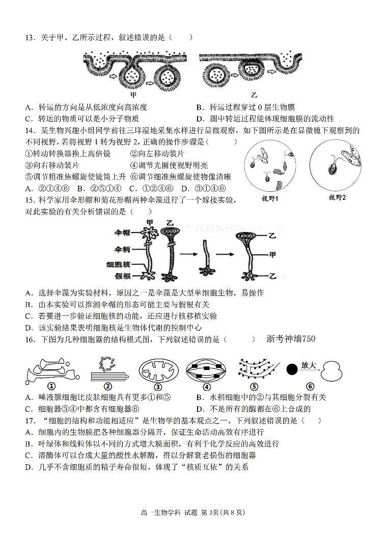 浙江省环大罗山联盟2025-2026学年高一上学期11月期中生物试卷（含答案）第3页