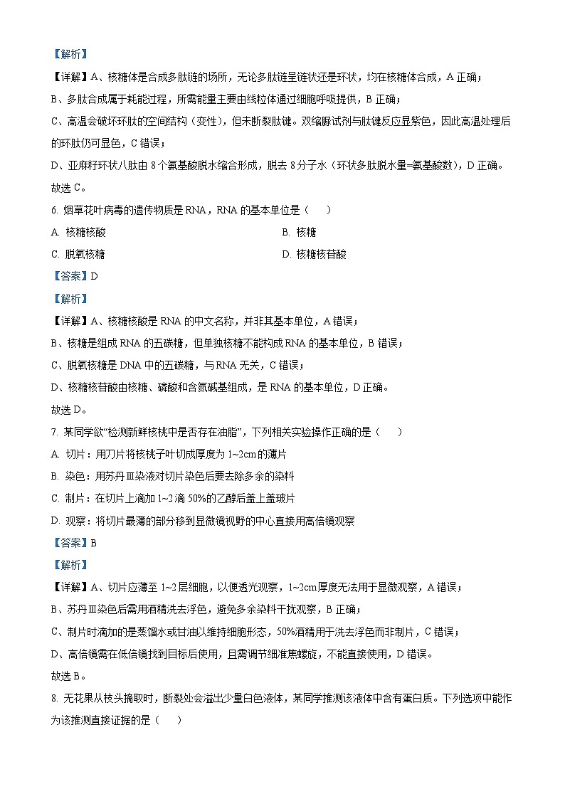 浙江省”七彩阳光“新高考研究联盟2025-2026学年高一上学期期中生物试卷（含答案）第3页