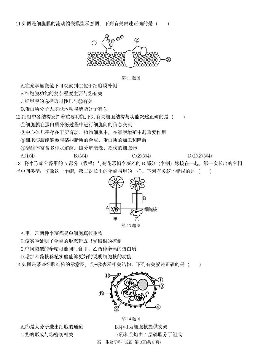浙江省温州市浙南名校联盟2025-2026学年高一上学期11月期中生物试卷（含答案）第3页