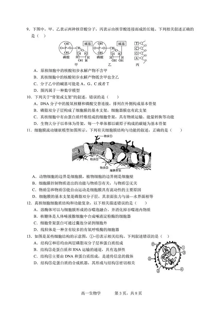 广东省实验中学2025-2026学年高一上学期期中考试生物试卷（含答案）第3页