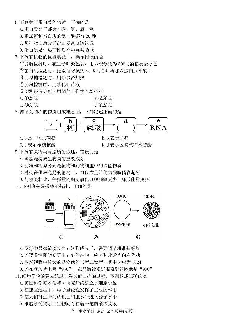浙江省钱塘联盟2025-2026学年高一上学期期中联考生物试卷（含答案）第2页