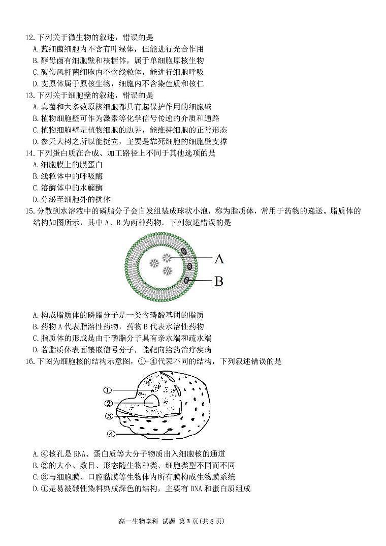 浙江省钱塘联盟2025-2026学年高一上学期期中联考生物试卷（含答案）第3页