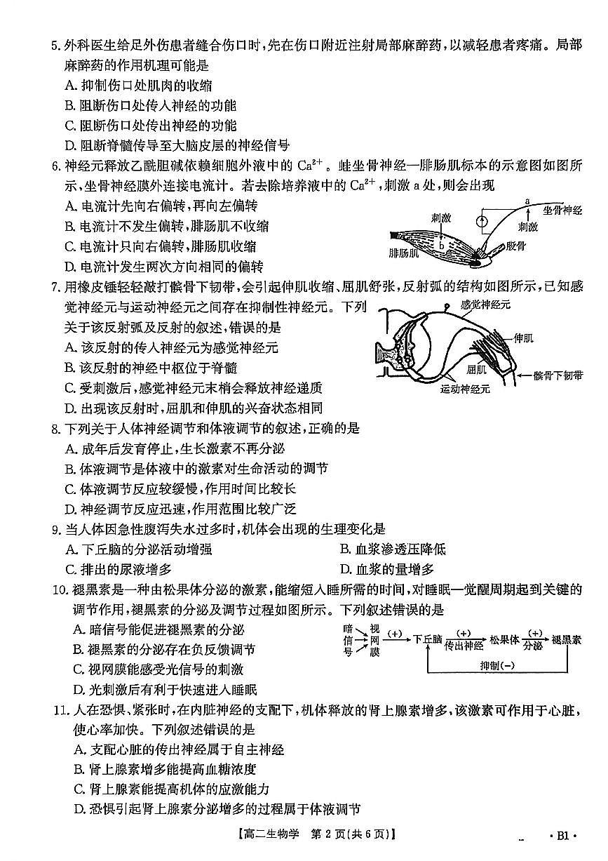 金太阳河北省2027届高二年级10月份联考（26-35B）生物B1试卷（含答案）第2页