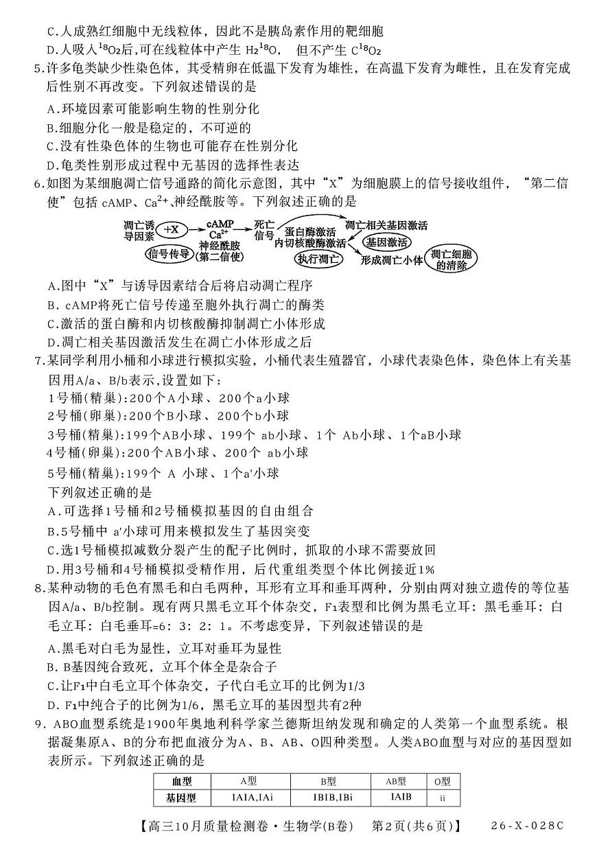 山西三晋卓越联盟2025-2026高三10月质量检测（26-X-028C）生物(B)（不含答案）第2页